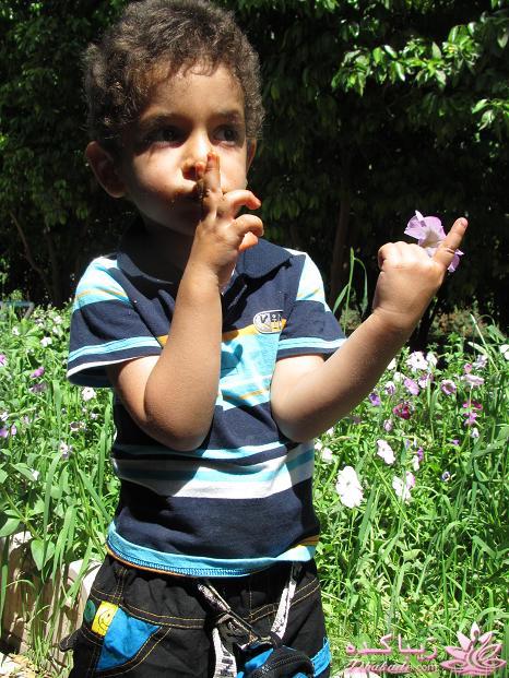 مسابقه عکاسی زیباکده ای مورد حمایت فروشگاه پانوراما**ویژه دریافت عکس**